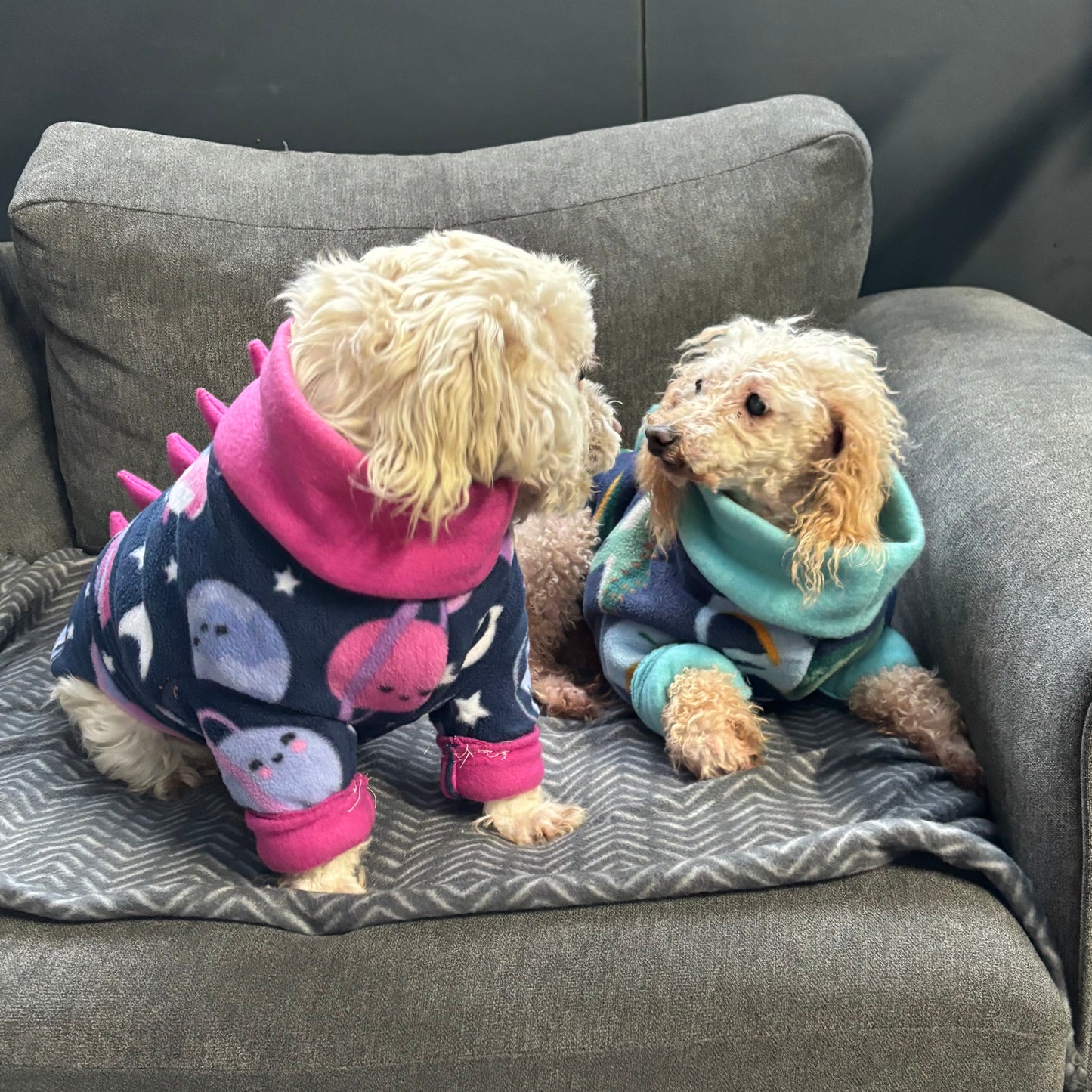 Greyhound CUSTOM pjs