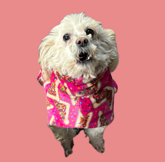 All breed CUSTOM coat