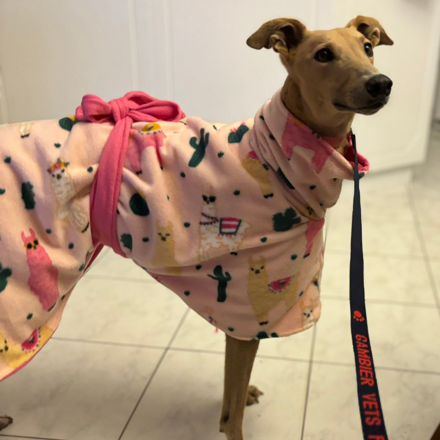 Greyhound CUSTOM coat