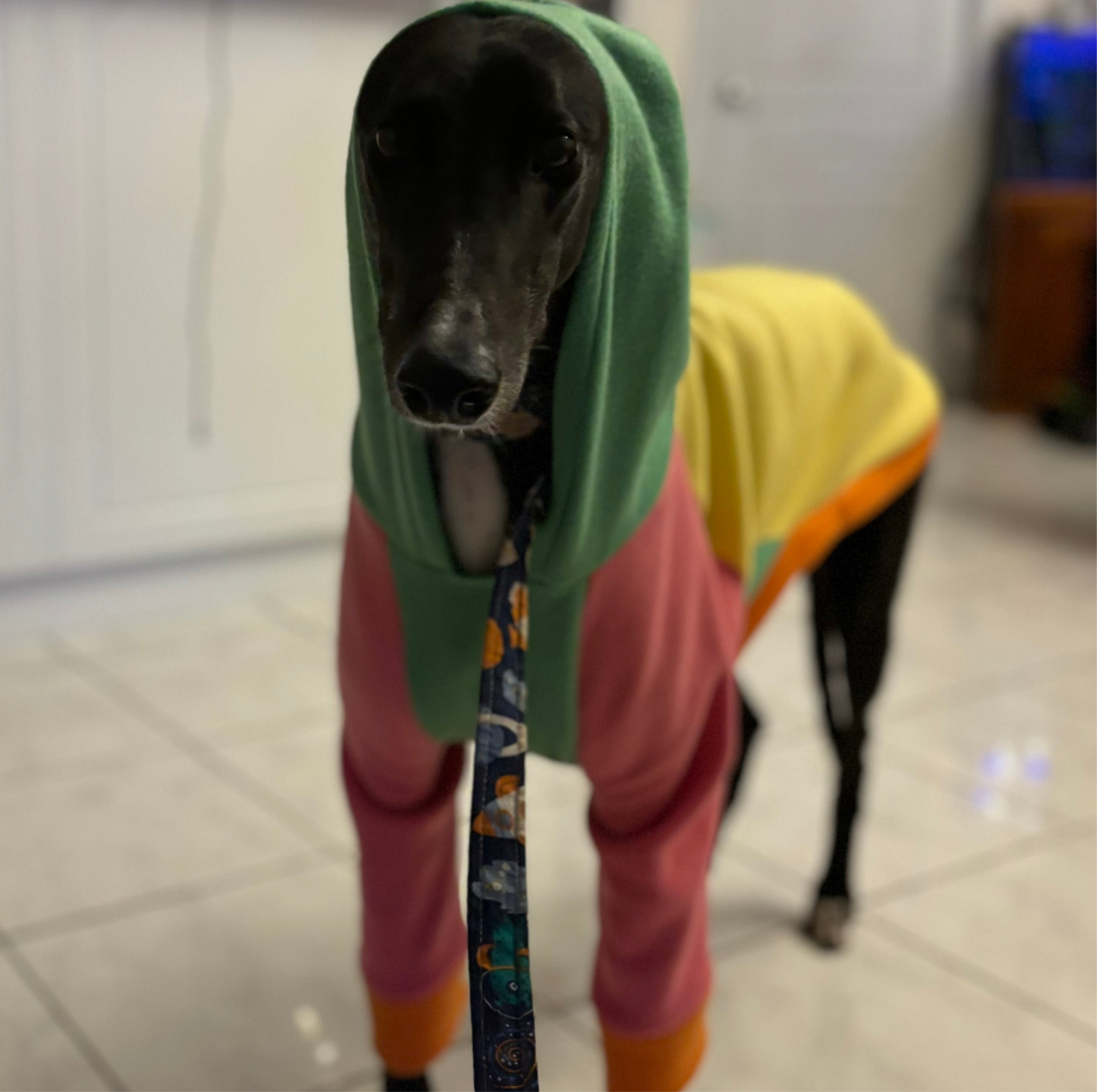 Greyhound CUSTOM hoodie
