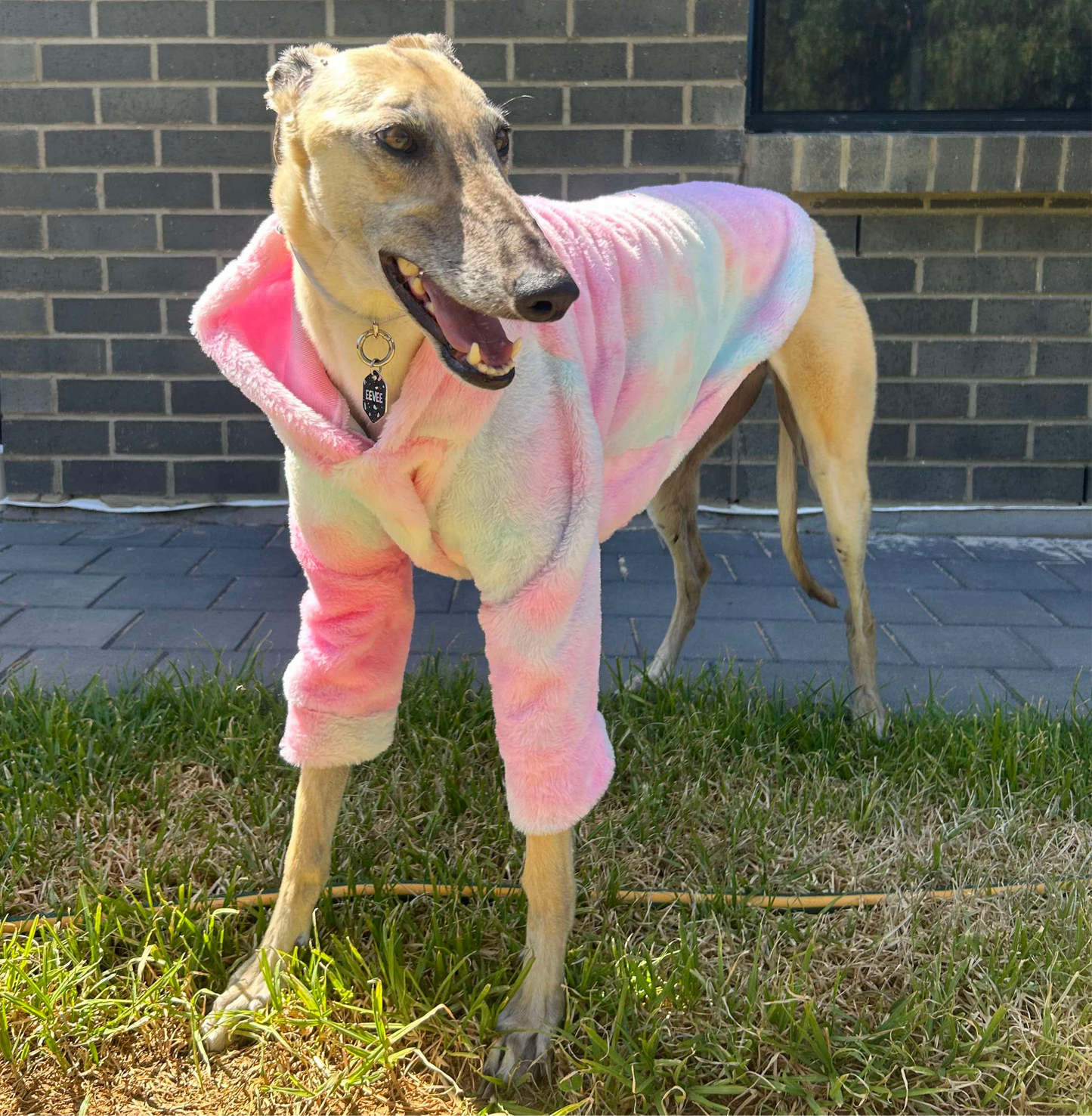 Greyhound CUSTOM hoodie