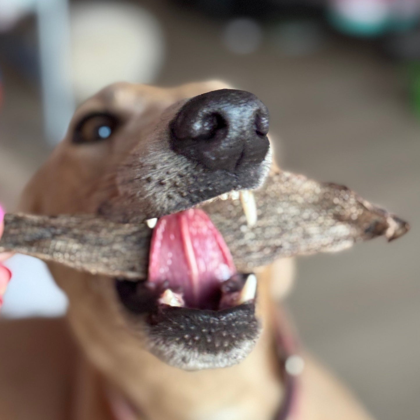 Holy cow, that’s good!