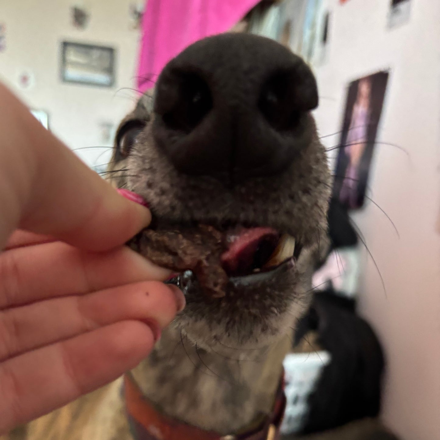 You’re kidney-ing me!