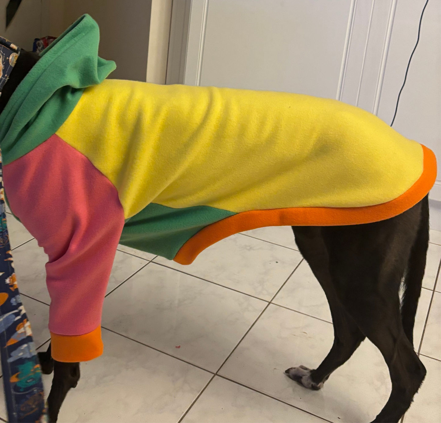 Greyhound CUSTOM hoodie