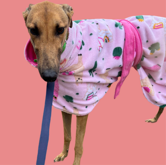 Greyhound CUSTOM coat