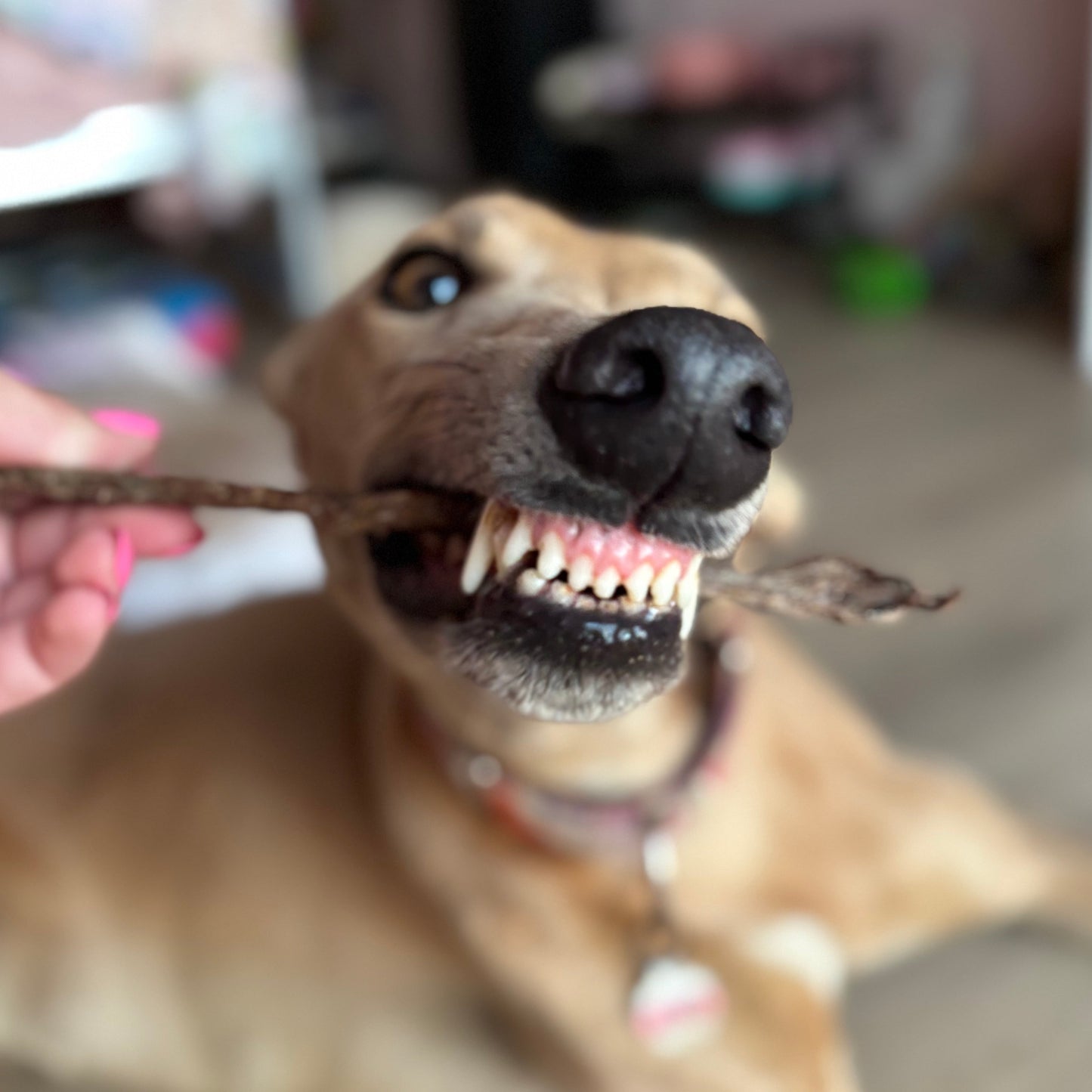 Holy cow, that’s good!