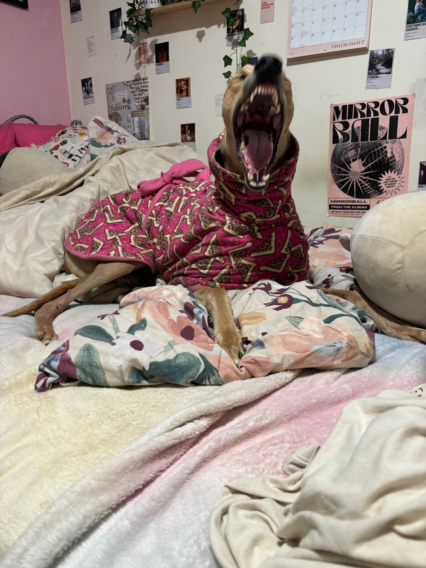 Greyhound CUSTOM coat