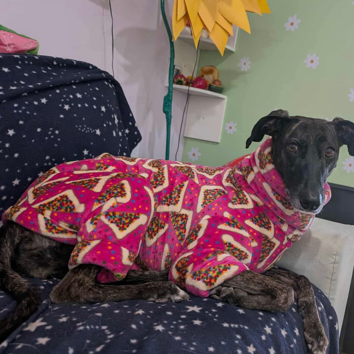 Greyhound CUSTOM pjs