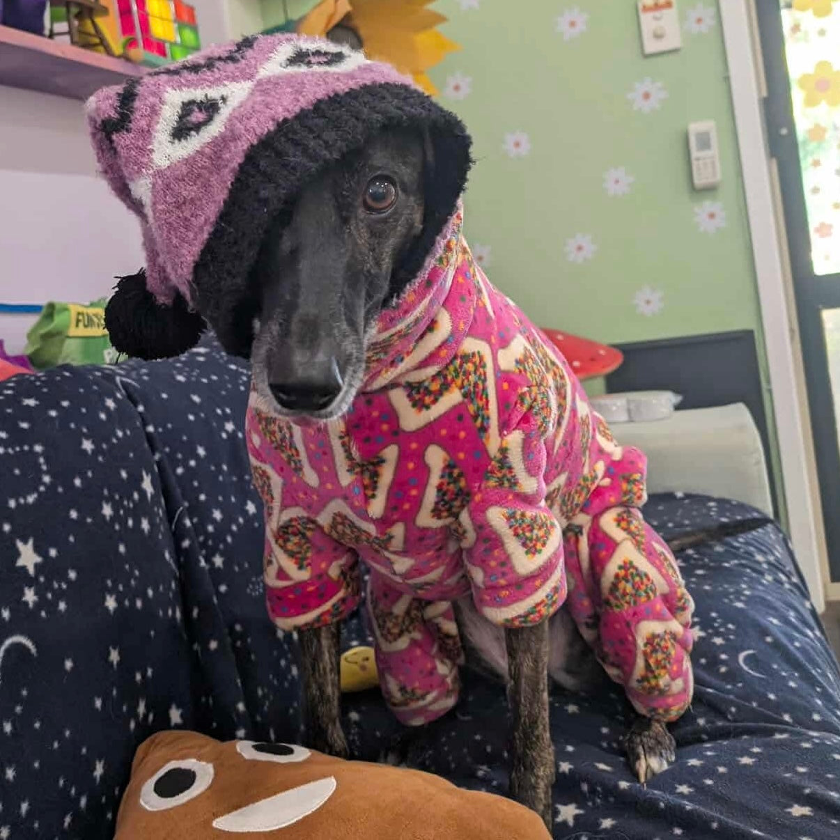 Greyhound CUSTOM pjs