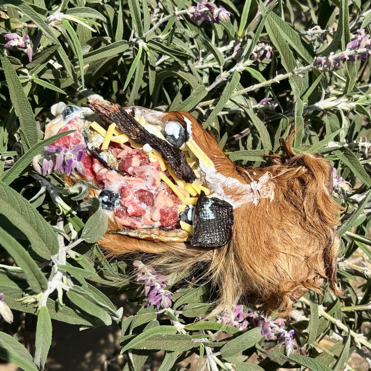 I can’t ‘EAR you!