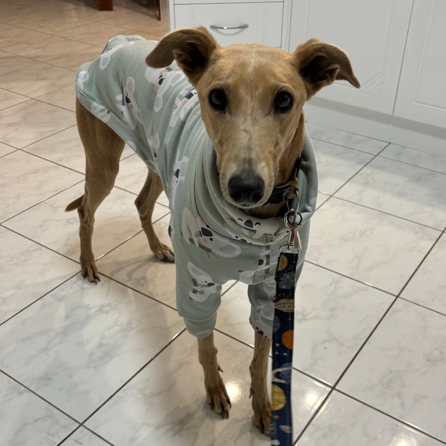 Greyhound CUSTOM pjs