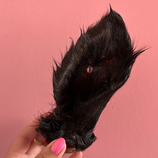 I can’t ‘EAR you!