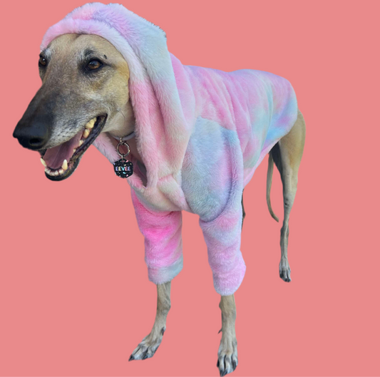 Greyhound CUSTOM hoodie