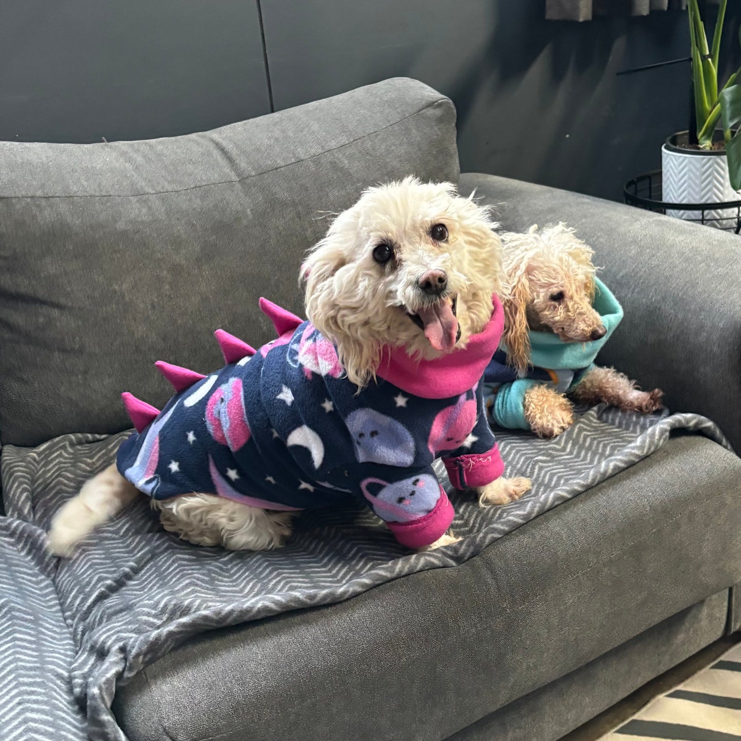 CUSTOM pjs- all breeds!
