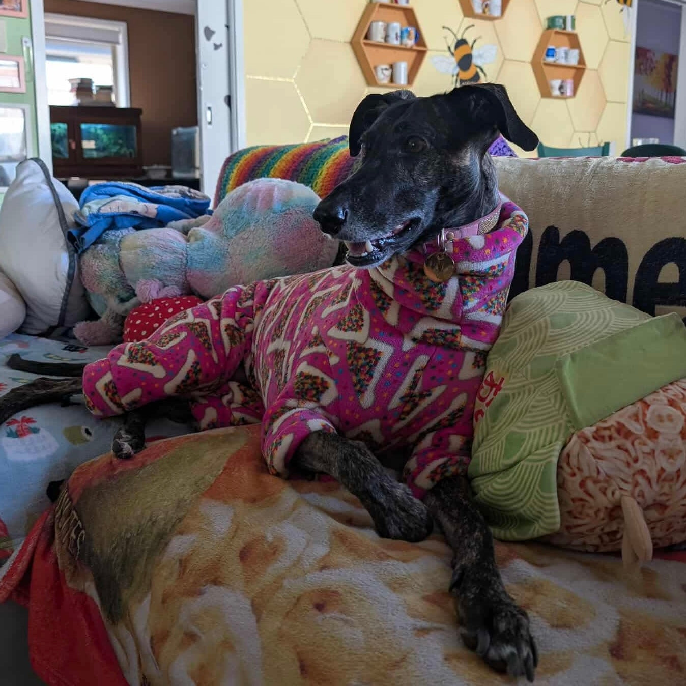 Greyhound CUSTOM pjs