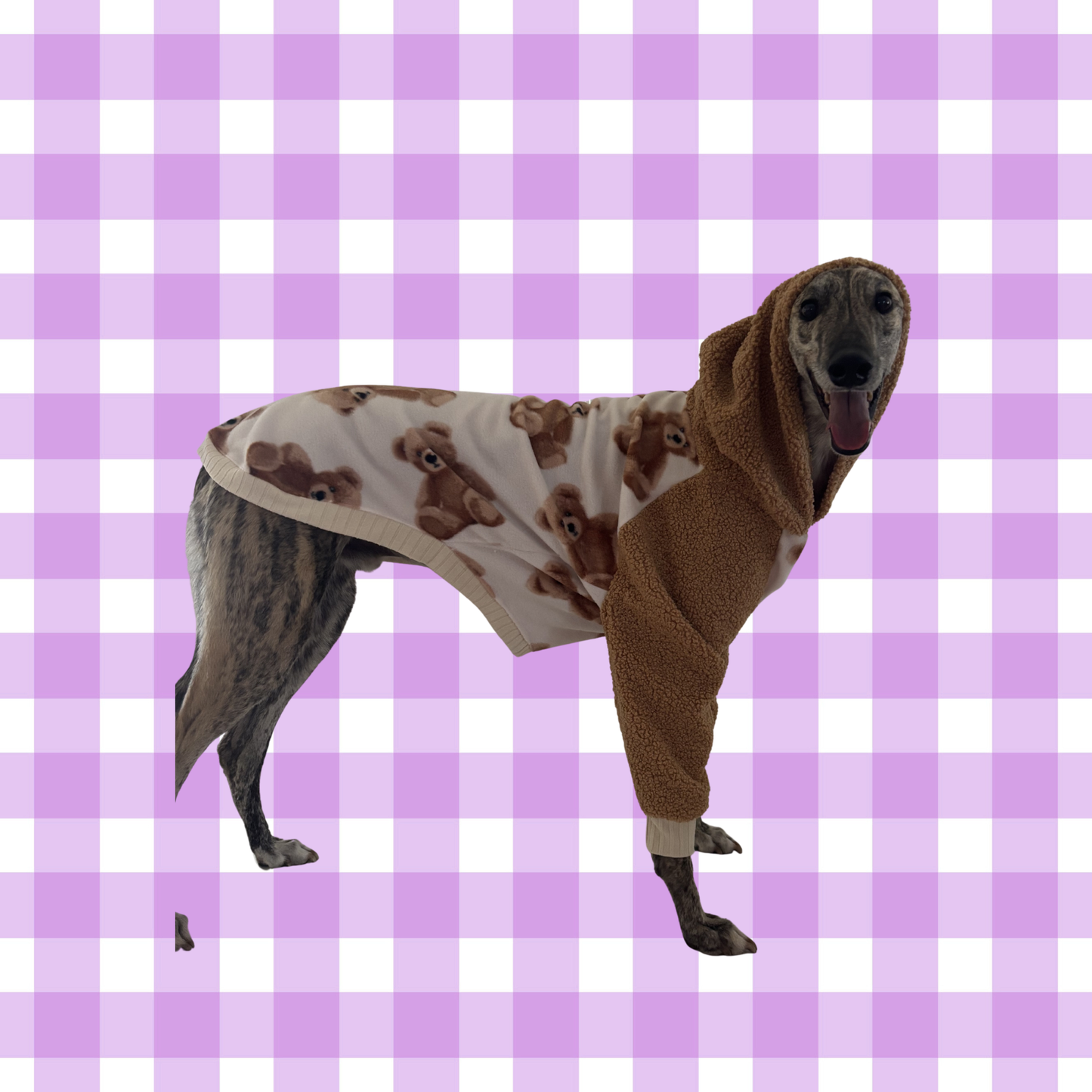 Greyhound CUSTOM hoodie