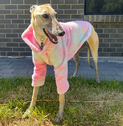 Greyhound CUSTOM hoodie
