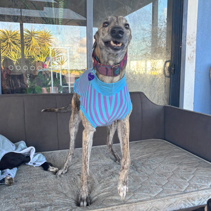 Greyhound CUSTOM pjs