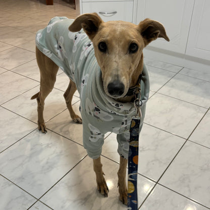Greyhound CUSTOM pjs