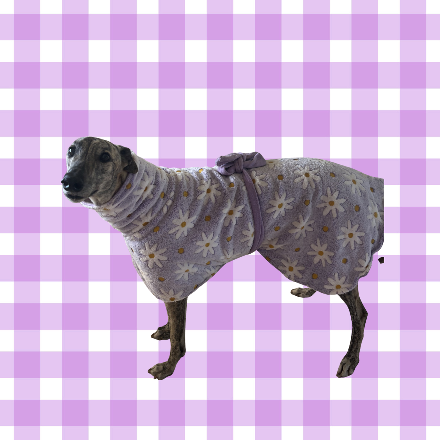 Greyhound CUSTOM coat