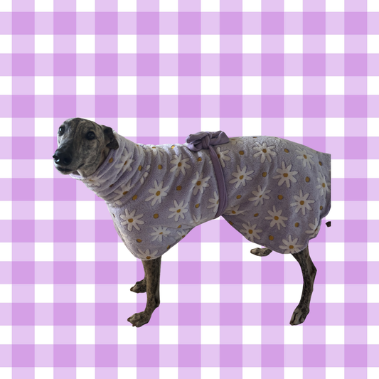 Greyhound CUSTOM coat