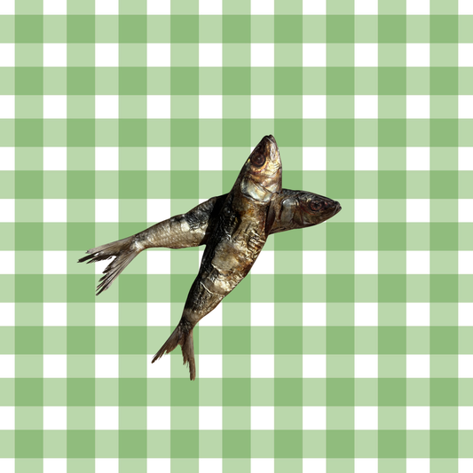 Silly Sardines